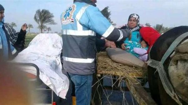 صورة من الواقعة