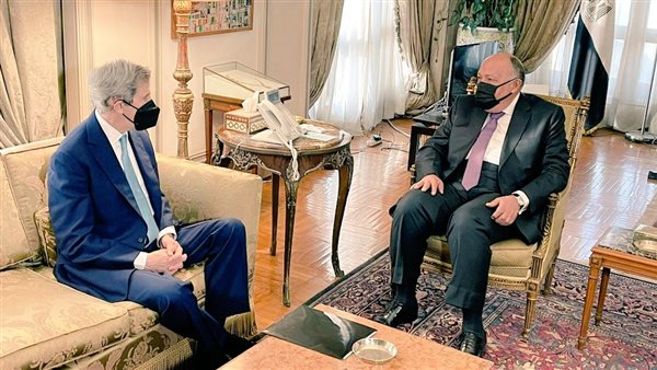 سامح شكري وزير الخارجية