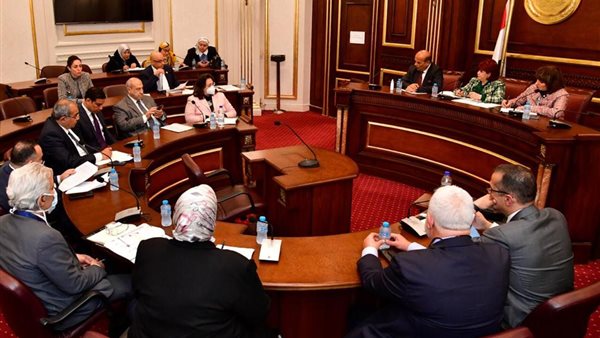 صورة من جلسة اللجنة