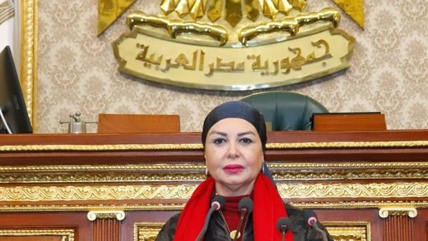 أمل سلامة عضو مجلس