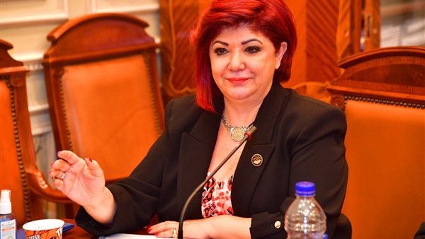 النائبة نورا علي