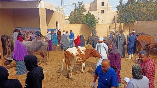 جانب من الحدث