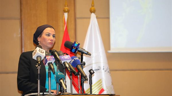 ياسمين فؤاد وزيرة