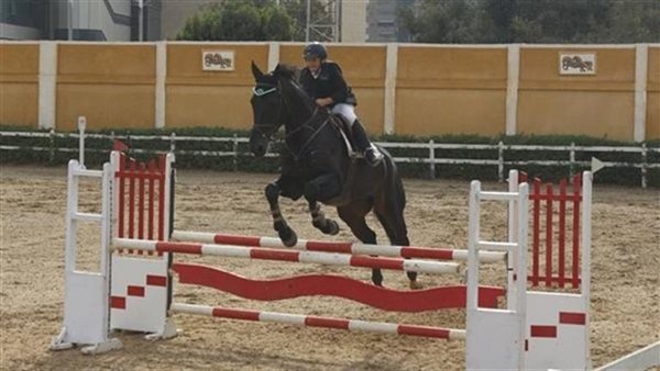 صورة من بطولة الفروسية