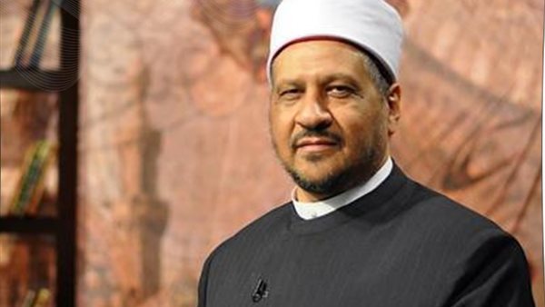 الدكتور مجدي عاشور