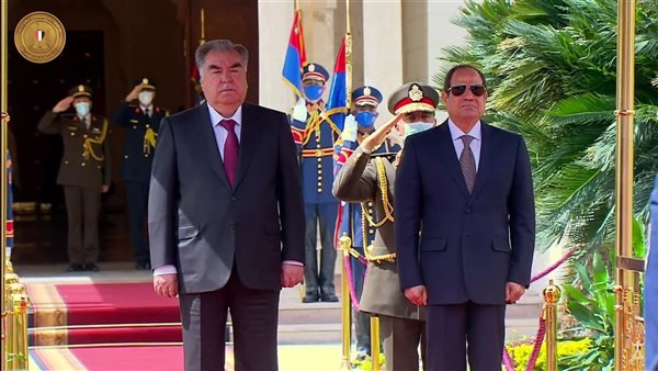 الرئيس السيسي ونظيره