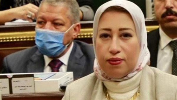 النائبة منى عبد الله