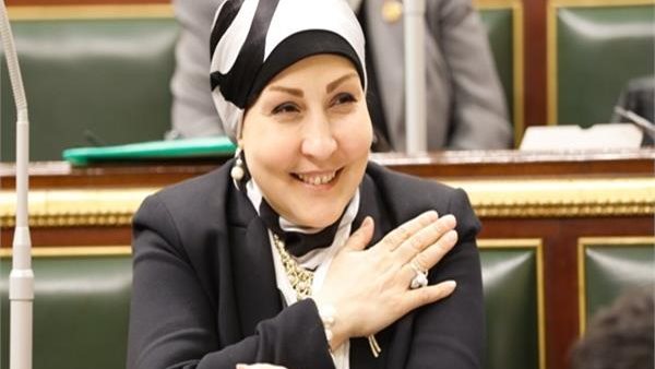 النائبة هالة ابو