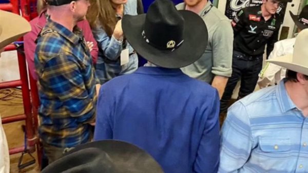 الامير هاري