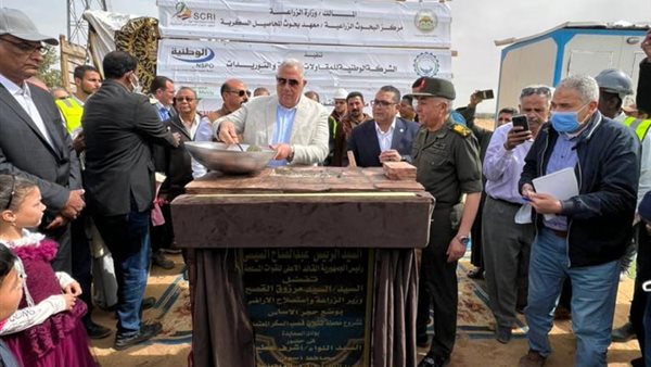 السيد القصير وزير