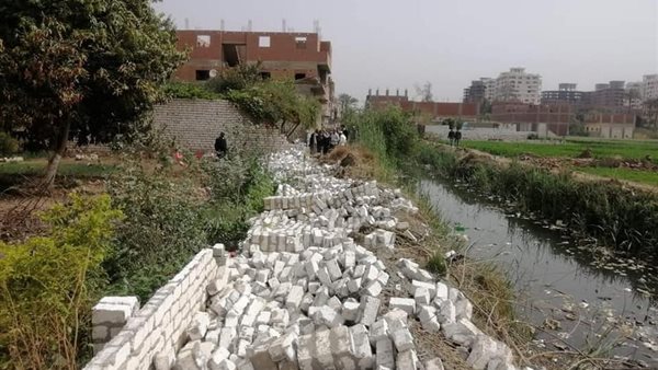 جانب من الحملة