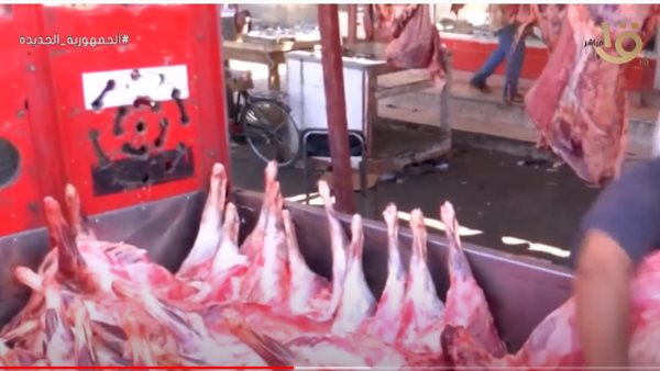 جانب من التقرير