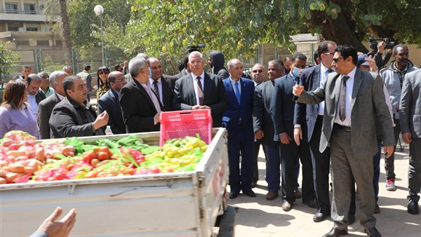 السيد القصير وزير