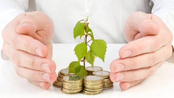 مشروعات صغيرة 