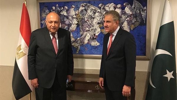 وزيرا خارجية مصر