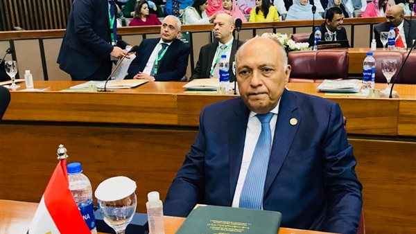 سامح شكري وزير الخارجية