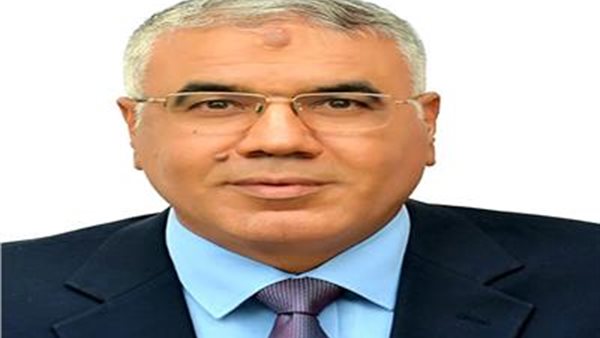 الدكتور اسلام شوقى