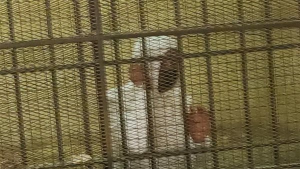  رجل الأعمال محمد