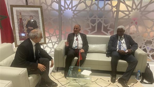 وزير الري يشارك في