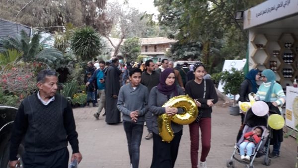 صورة من الحديقة 