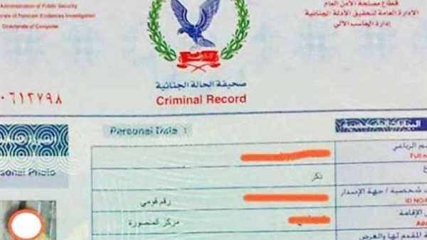 فيش وتشبيه -أرشيفية