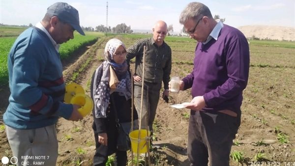 جانب من الحدث