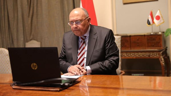 سامح شكري وزير الخارجية