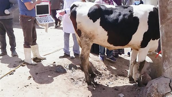 جانب من الحدث