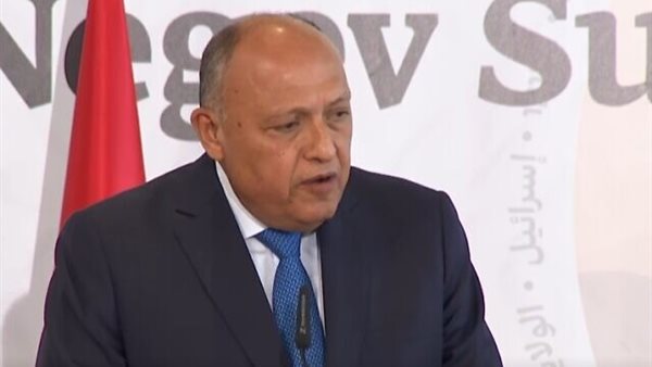 شكري خلال المؤتمر