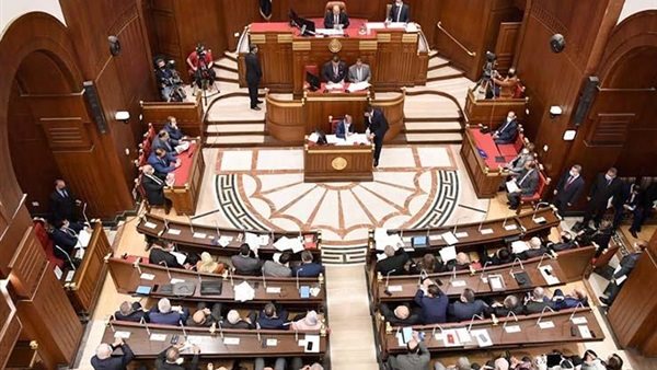 مجلس الشيوخ - صورة