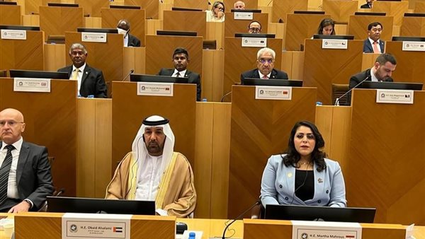 نائبة التنسيقية تشارك