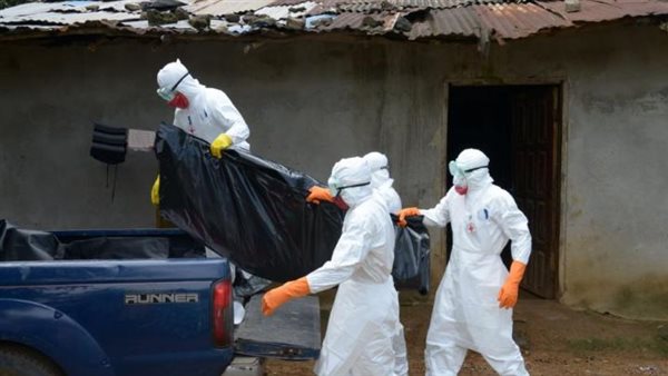 صورة ارشيفيه