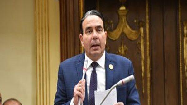 أيمن أبو العلا 