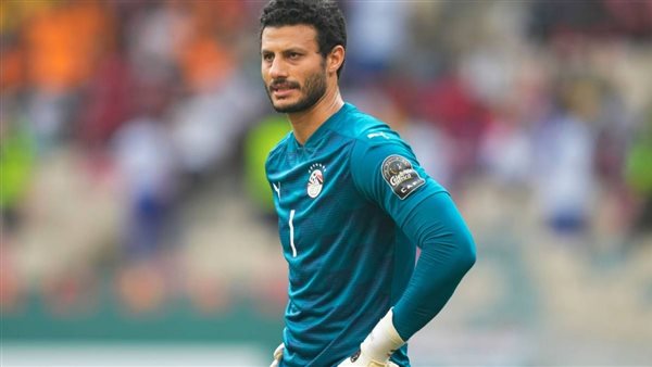 محمد الشناوي