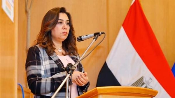 محافظ دمياط 