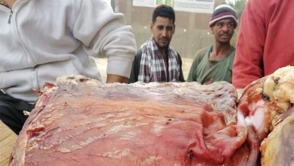 جانب من المضبوطات