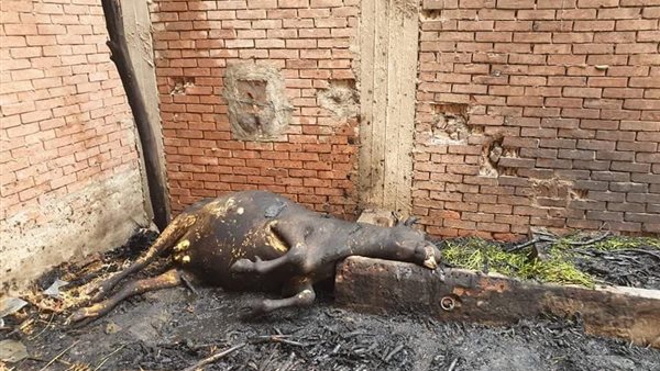 جانب من الحريق