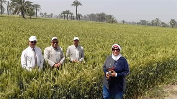 جانب من الجولة التفقدية