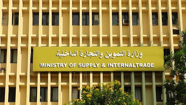 صورة ارشيفيه