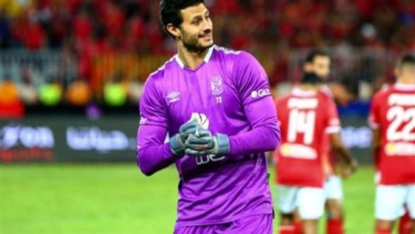 محمد الشناوي