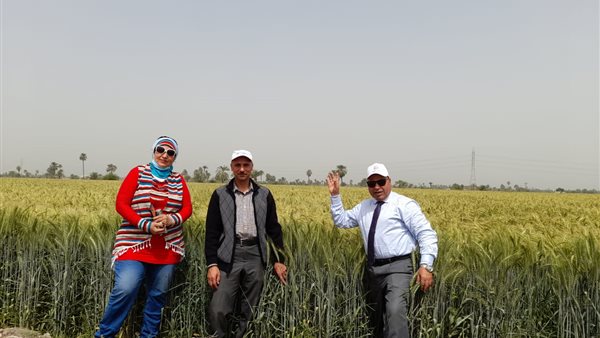 صورة من تفقد الاستعدادات