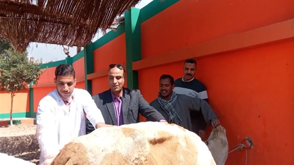 صورة من الحملة