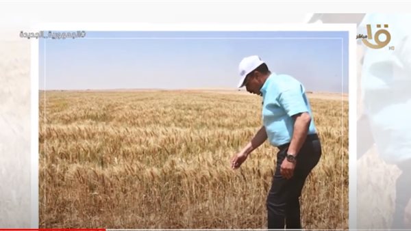 جانب من التقرير