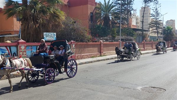 جولة لعدد من السياح