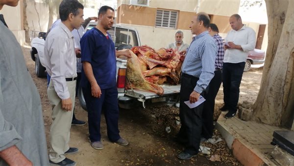 صورة من الحملات التموينية