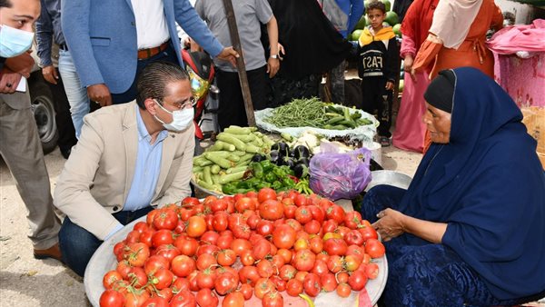 محافظ الفيوم يناقش