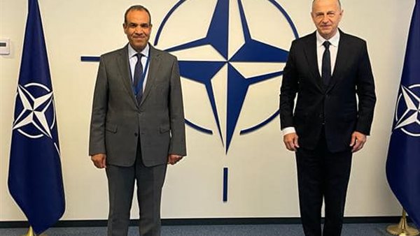 بدر عبد العاطي سفير