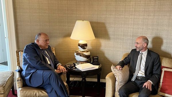  سامح شكري وزير الخارجية