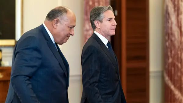 سامح شكري ووزير الخارجية