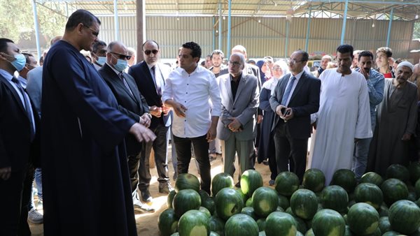 محافظ القاهرة يتفقد